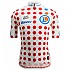 [해외]산티니 Replica Tour De France GPM Leader 반팔 저지 1138777714 White / Red Dots