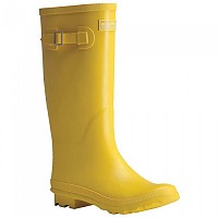 [해외]레가타 Fairweather II Wellingtons 부츠 4138717540 Maize Yellow