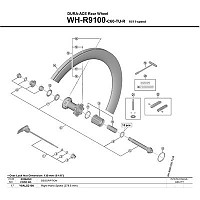 [해외]시마노 R9100 C60 Tubeless 뒤 오른쪽 스포크 1137149706