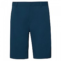 [해외]오클리 APPAREL Perf Terrain 반바지 139487195 Oil Blue