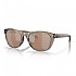 [해외]COSTA Aleta Polarized 4139653371 Taupe Crystal / Taupe Crystal