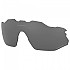 [해외]오클리 Radar EV Advancer Prizm 편광 교체 렌즈 1138157975 Prizm Black Polarized