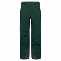 [해외]오클리 APPAREL Best Cedar RC Insulated 바지 4139742439 Hunter Green (Helmet)