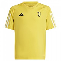 [해외]아디다스 Juventus 23/24 훈련 주니어 반팔 티셔츠 3140529986 Bold Gold