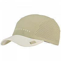 [해외]오클리 APPAREL Five Block Panel 모자 4140223213 Silver Sage