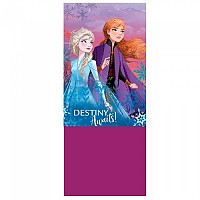 [해외]DISNEY Frozen 넥워머 4140631592 Purple