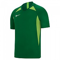 [해외]나이키 Dri Fit Striker V 반팔 티셔츠 3140480770 Green