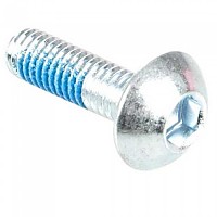 [해외]B레이저 PRO Peg bolt 25 mm 나사 14141026797 Silver