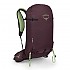 [해외]오스프리 Firn 28L 배낭 4141046384 Elderberry Purple / Peppermint Green