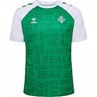 [해외]험멜 Real Betis 23/24 경기 전 반팔 티셔츠 3140099867 Jelly Bean / White